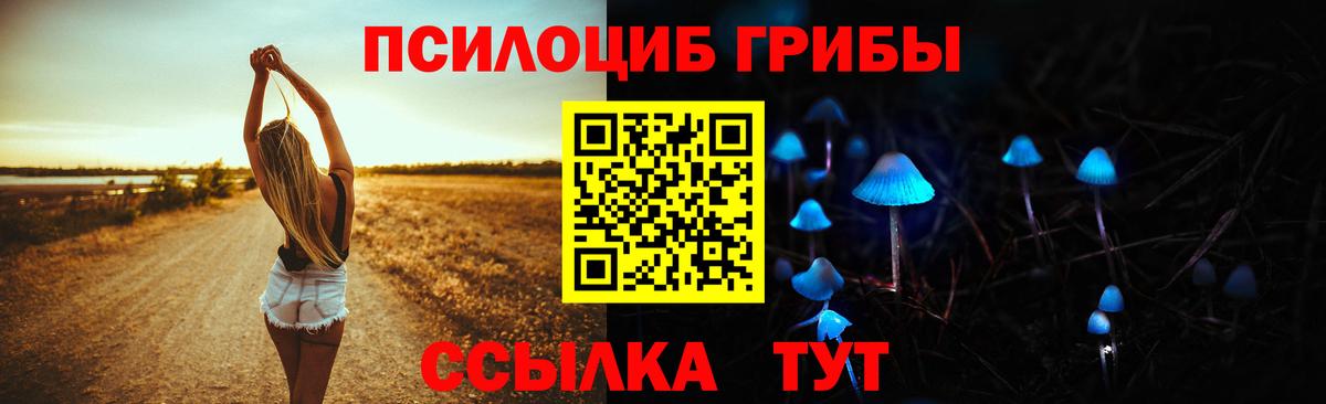 Губаха  Псилоцибиновые грибы Psilocybine cubensis  Вход с VPN  Галлюциногенные грибы ЛСД 