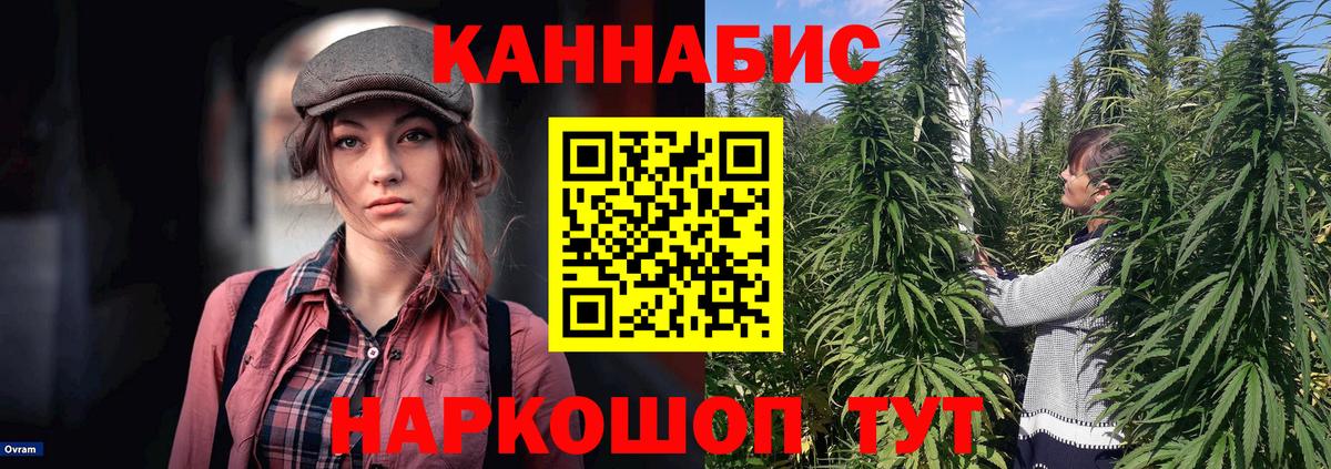 Конопля марихуана  Вход с VPN  Шишки марихуана Bruce Banner  Губаха  Бошки Шишки конопля 